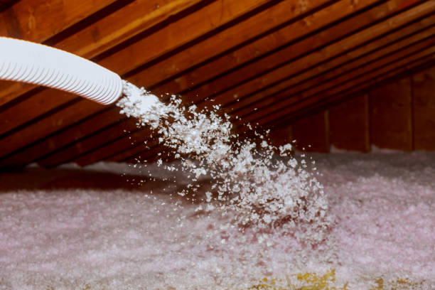 Best DIY Insulation Kits and Guidance in Aurora, MO