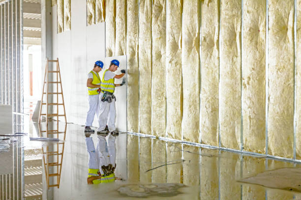 Types of Insulation We Offer in Aurora, MO